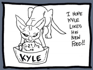 Kyle eats from his dish