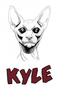 Kyle the Cat