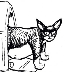 Pablo The Cat